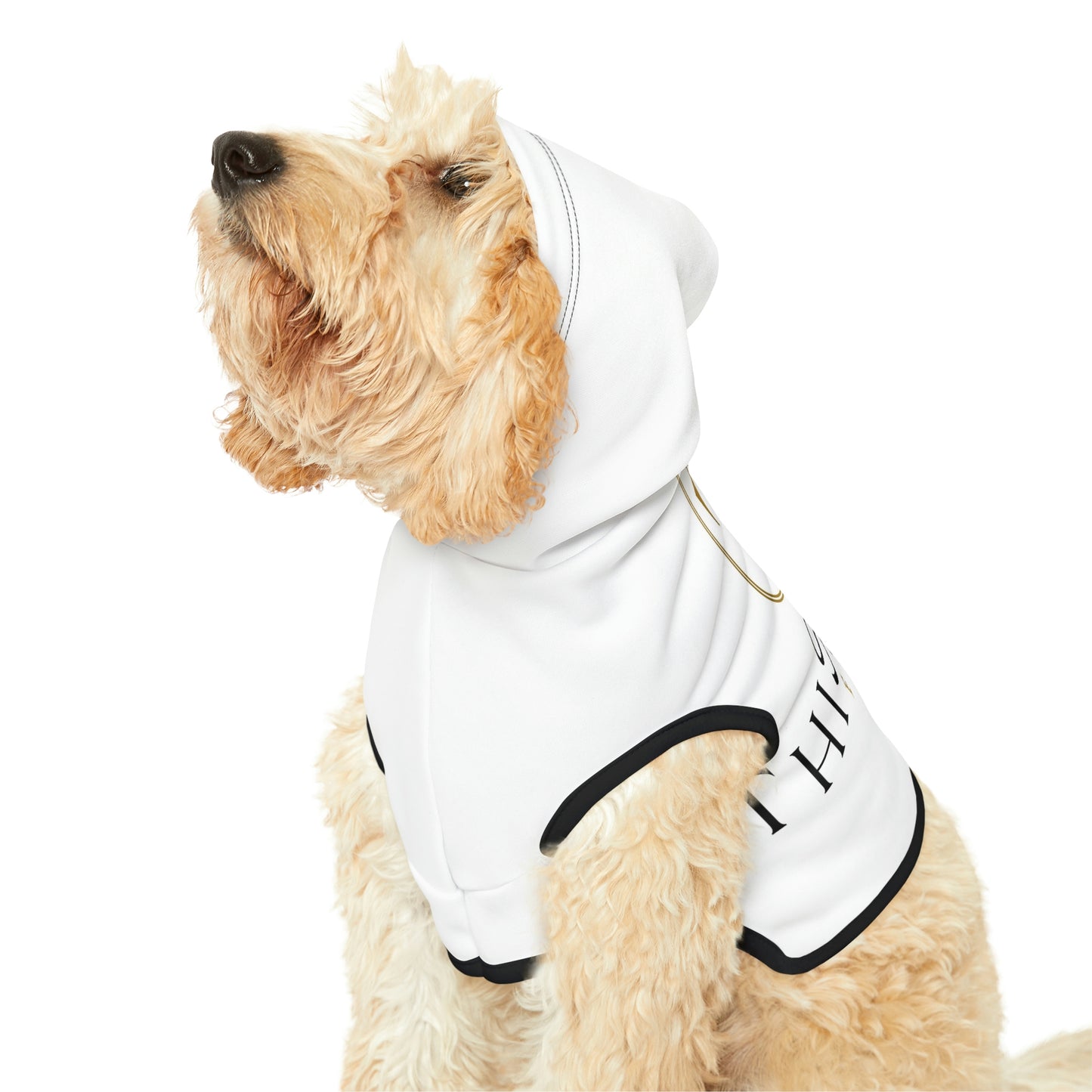 Dog Hoodie